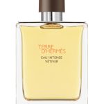 Terre D'Hermes Eau Intense Vetiver Hermès